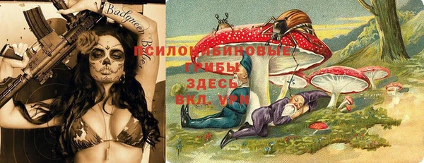 бошки Алексин