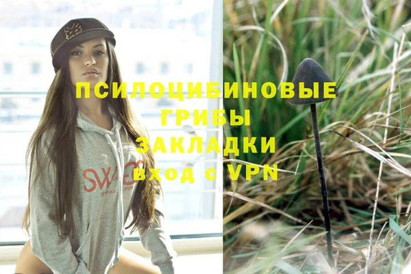 бошки Алексин