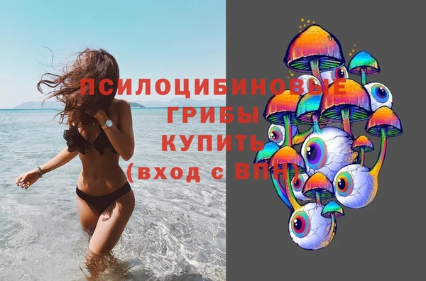 PSILOCYBIN Алексеевка