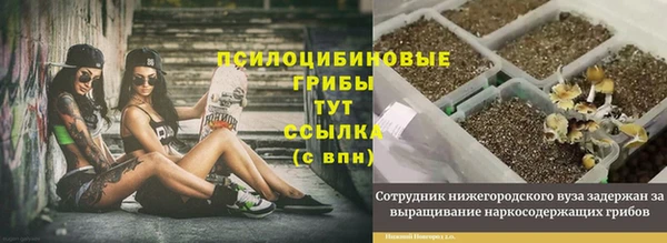 круглые Алзамай