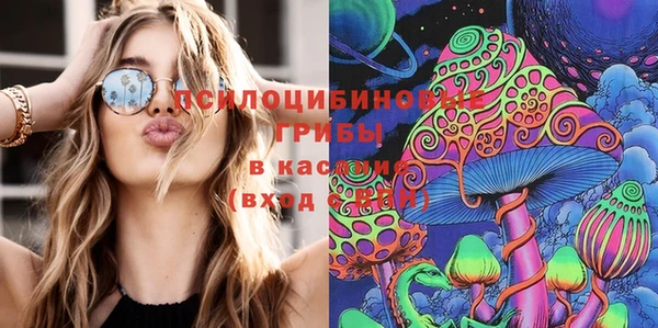 PSILOCYBIN Алексеевка