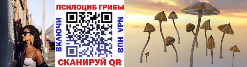 Галлюциногенные грибы Magic Shrooms Ардон