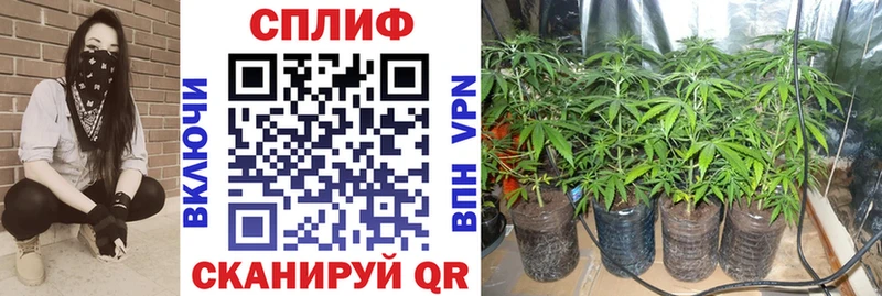 наркотики  Ардон  Марихуана White Widow 